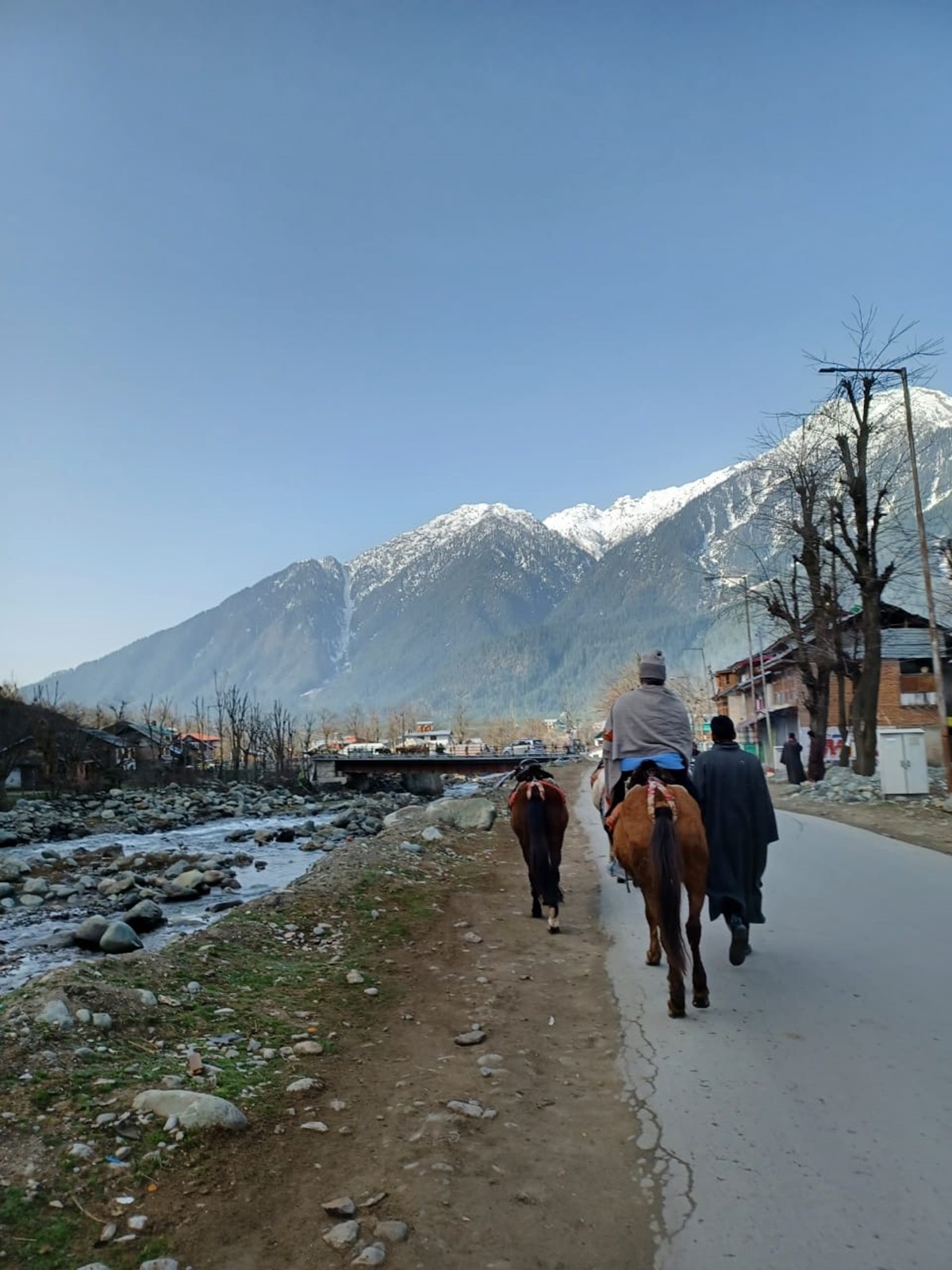 Rare facts every tourist should know before visiting Kashmir